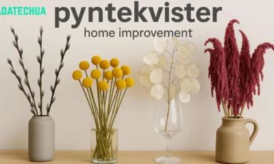 pyntekvister