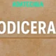 sodiceram