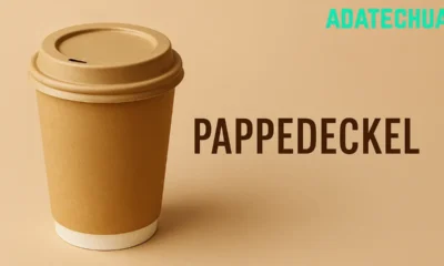pappedeckel