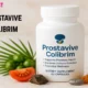 prostavive colibrim